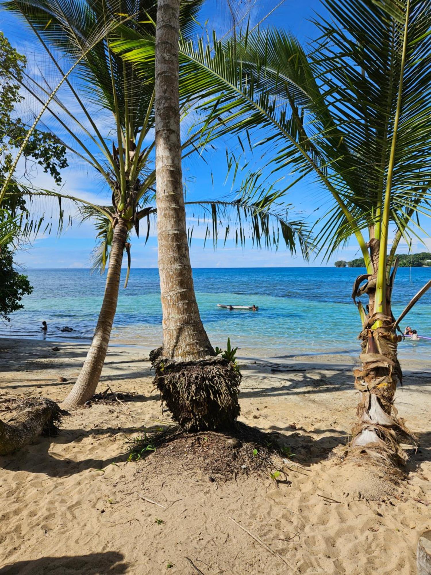 Drago Beach House - Private Beach 博卡德拉戈 外观 照片